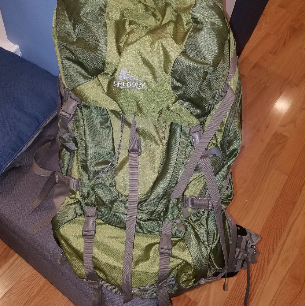 Gregory Backpack